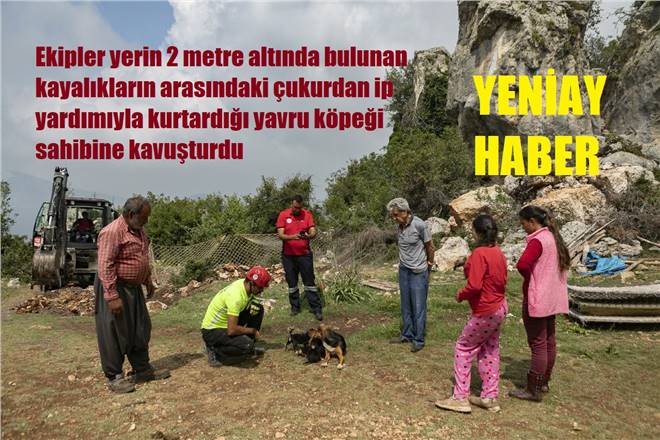 BÜYÜKŞEHİR’İN İTFAİYE EKİPLERİ ÇUKURA DÜŞEN YAVRU KÖPEĞİ KURTARDI